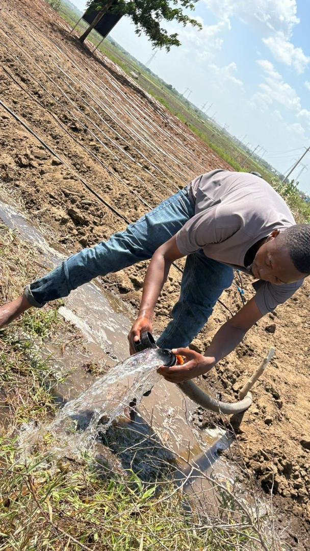 Sustainable Agriculture Initiative - Image 15